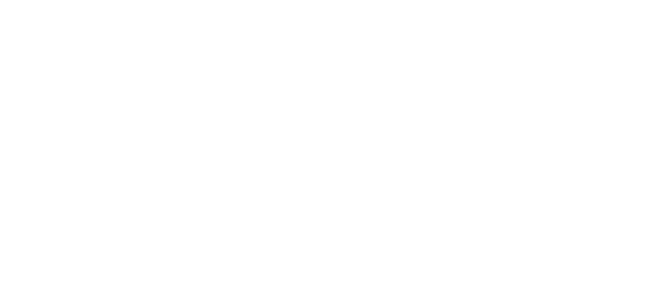 Veronique Slagerij